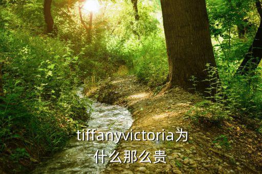 tiffany首饰价格,这些东西值得你拥有