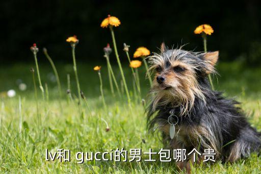 lv和 gucci的男士包哪个贵