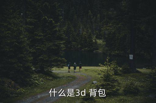 什么是3d 背包