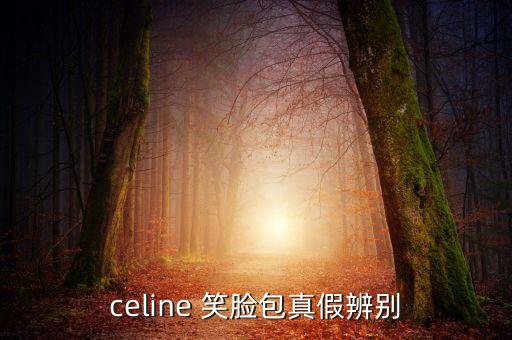 celine 笑脸包真假辨别