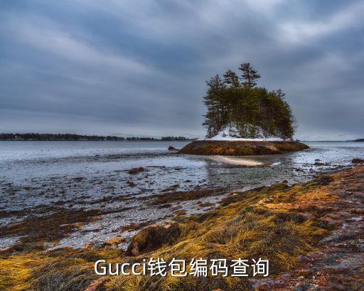 gucci手包价格及图片,可以在专卖店免费清洗lv包包号