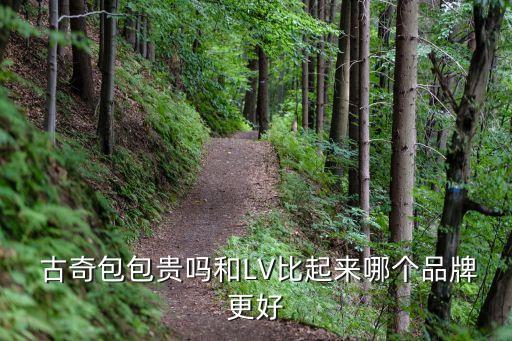  古奇包包贵吗和LV比起来哪个品牌更好