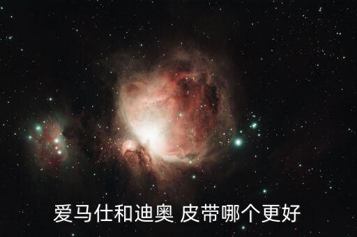 dior皮带官方价格,迪奥的烦恼与忧愁