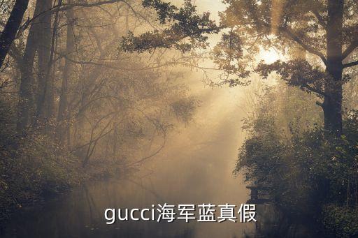  gucci海军蓝真假