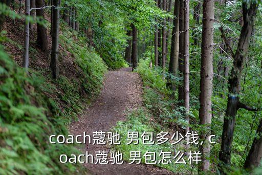  coach蔻驰 男包多少钱, coach蔻驰 男包怎么样