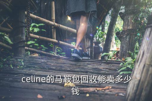  celine的马鞍包回收能卖多少钱