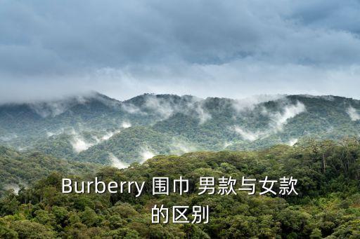 Burberry 围巾 男款与女款的区别