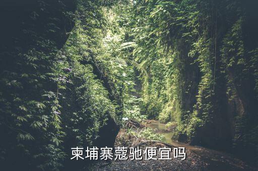 柬埔寨蔻驰便宜吗