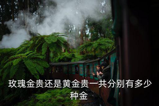  玫瑰金贵还是黄金贵一共分别有多少种金