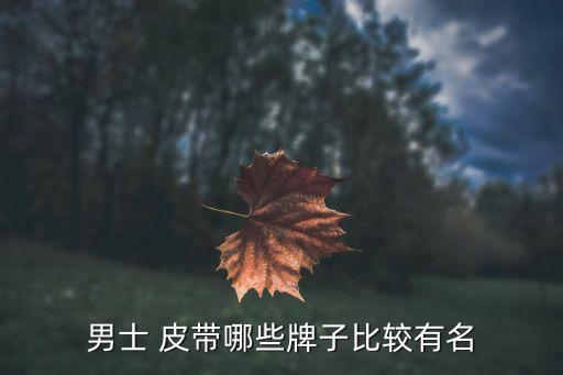 古驰皮带价格和图片,如何挑选好的登喜路皮带?