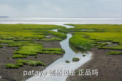 pataya 剑桥包是 正品吗