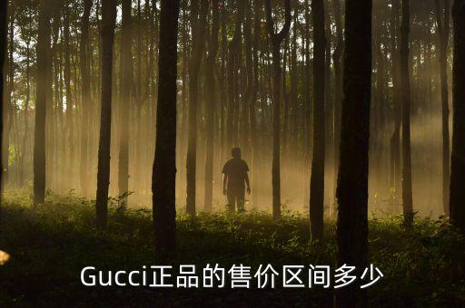 Gucci正品的售价区间多少