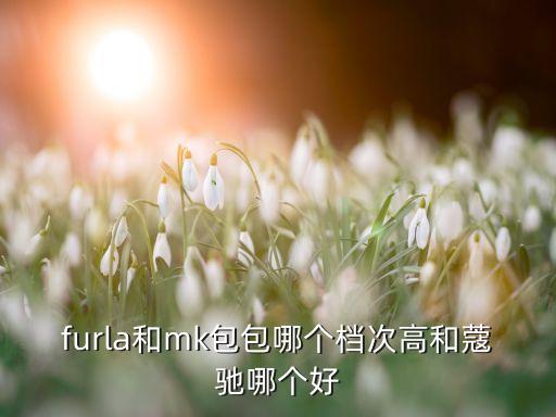 芙拉中国价格,芙拉洛丽塔真品和高仿区别:没人会选择芙拉