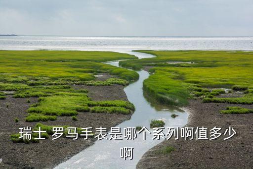  瑞士 罗马手表是哪个系列啊值多少啊
