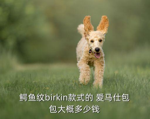 鳄鱼纹birkin款式的 爱马仕包包大概多少钱