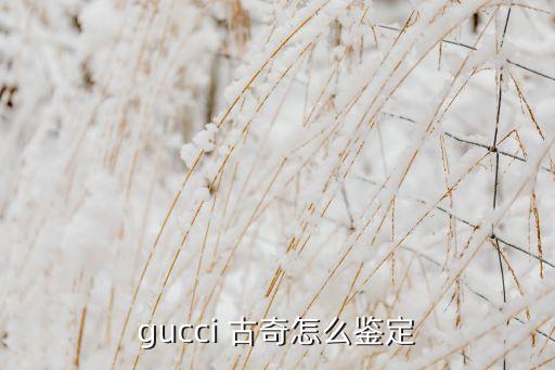 gucci 古奇怎么鉴定