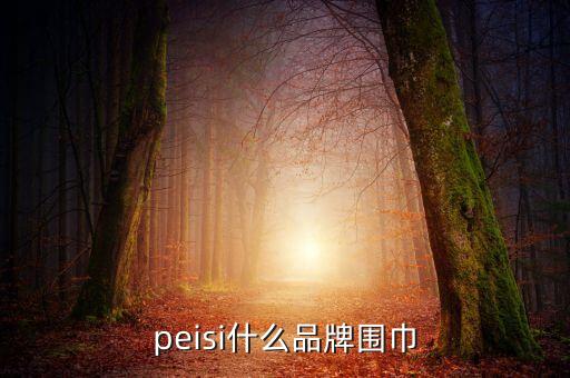 peisi什么品牌围巾