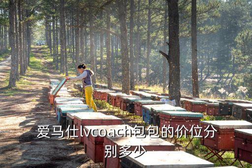  爱马仕lvcoach包包的价位分别多少