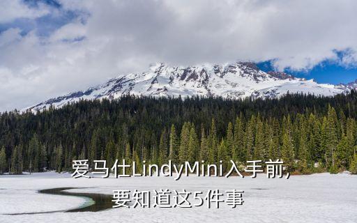  爱马仕LindyMini入手前,要知道这5件事