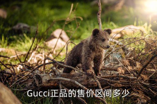 Gucci正品的售价区间多少