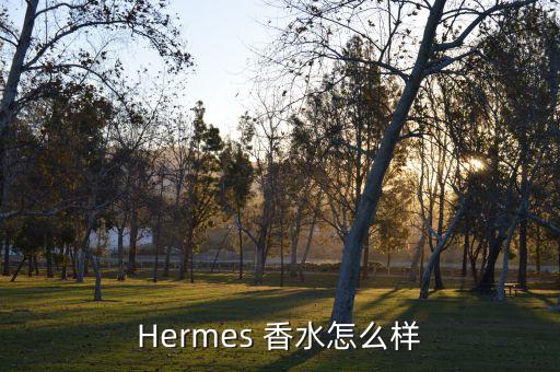 Hermes 香水怎么样
