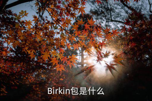 Birkin包是什么