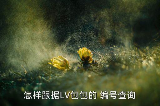 怎样跟据LV包包的 编号查询