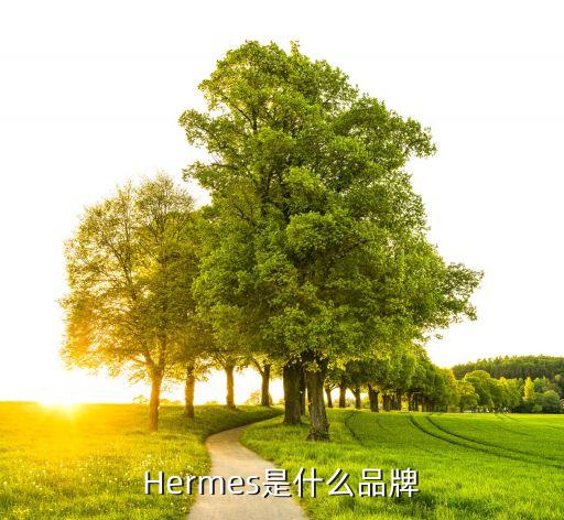 Hermes是什么品牌