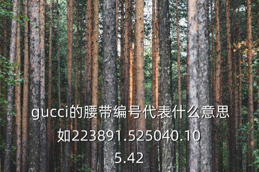  gucci的腰带编号代表什么意思如223891.525040.105.42