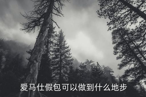 爱马仕包改装,进口爱马仕V260L改装