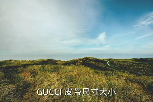 GUCCI 皮带尺寸大小