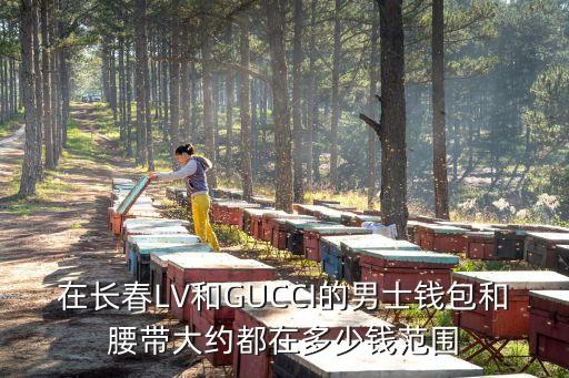 在长春LV和GUCCI的男士钱包和腰带大约都在多少钱范围