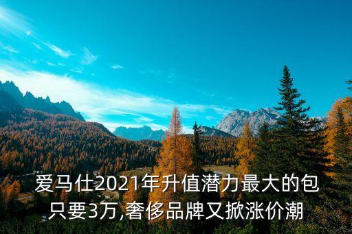  爱马仕2021年升值潜力最大的包只要3万,奢侈品牌又掀涨价潮