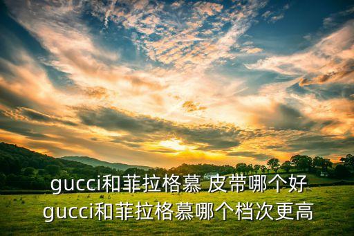  gucci和菲拉格慕 皮带哪个好 gucci和菲拉格慕哪个档次更高