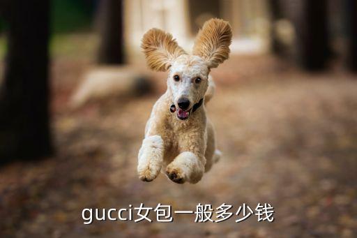 gucci女包一般多少钱