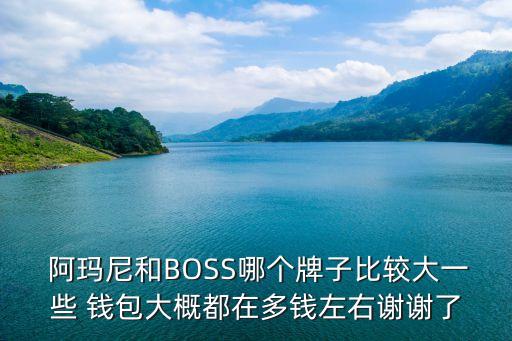  阿玛尼和BOSS哪个牌子比较大一些 钱包大概都在多钱左右谢谢了