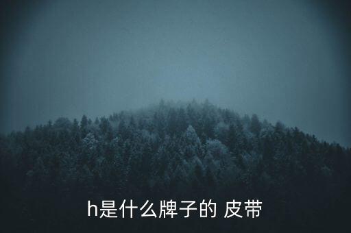 h是什么牌子的 皮带