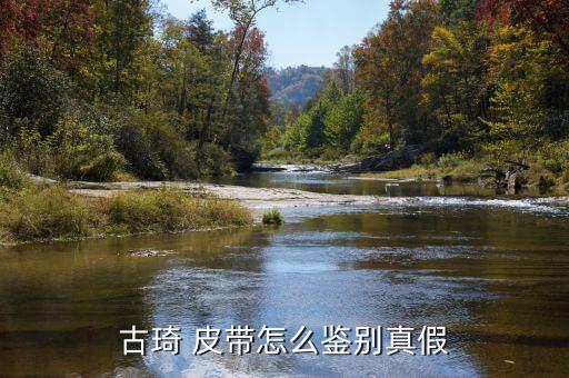 gucci皮带鉴定图