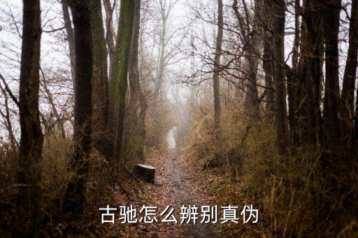 古驰怎么辨别真伪