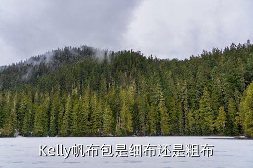 Kelly帆布包是细布还是粗布