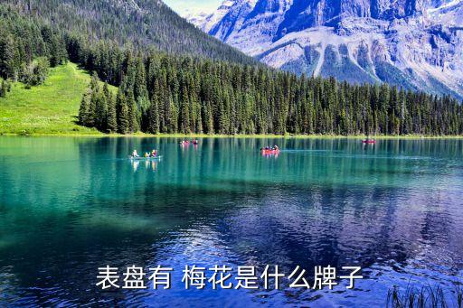 表盘有 梅花是什么牌子