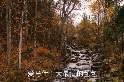  爱马仕十大最贵的包包