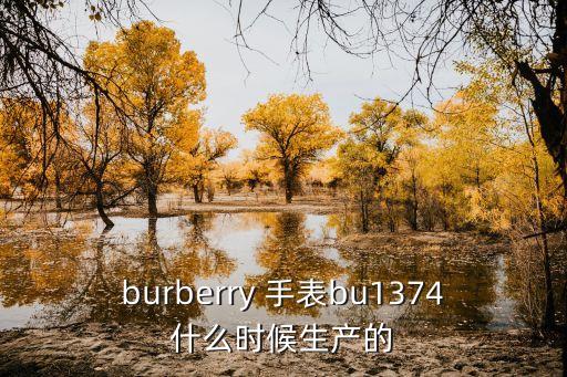 burberry 手表bu1374什么时候生产的