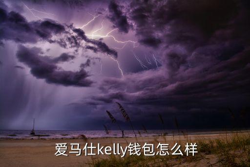  爱马仕kelly钱包怎么样