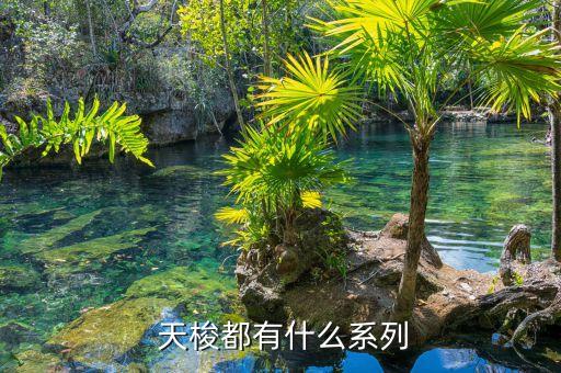  天梭都有什么系列