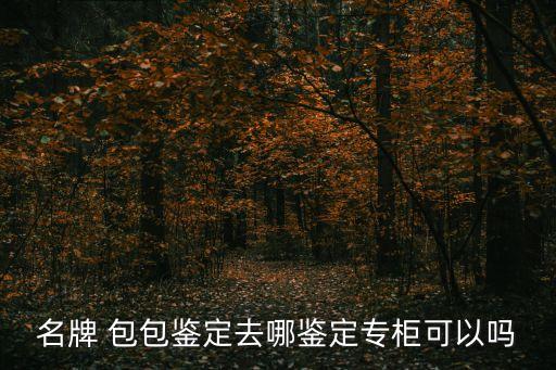 名牌 包包鉴定去哪鉴定专柜可以吗