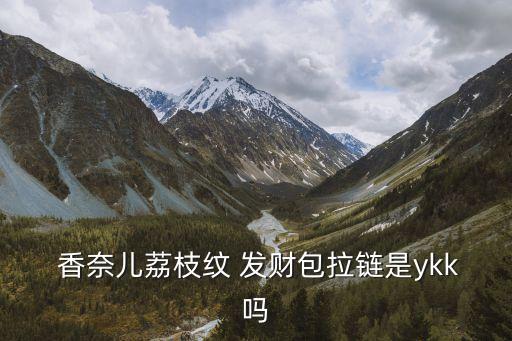  香奈儿荔枝纹 发财包拉链是ykk吗