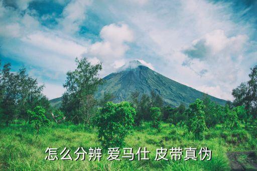 怎么分辨 爱马仕 皮带真伪