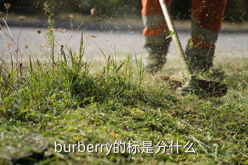  burberry的标是分什么