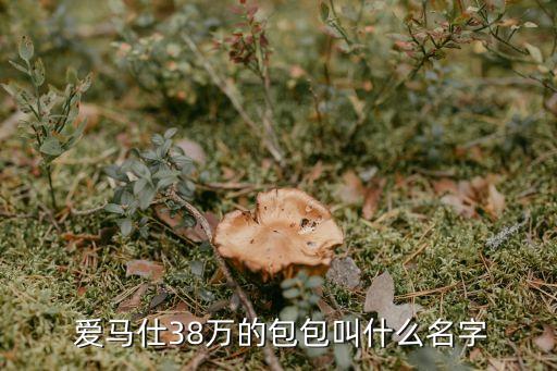  爱马仕38万的包包叫什么名字